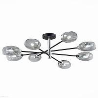 Люстра потолочная EVOLUCE GLOA SLE155512-08