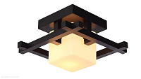 Потолочный светильник Arte Lamp WOODS A8252PL-1CK
