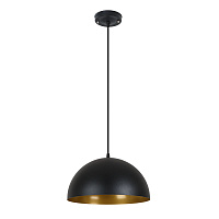 Подвесной светильник Arte Lamp CARMEL A7077SP-1BK