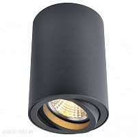Накладной светильник Arte Lamp A1560PL-1BK