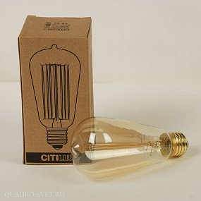 Лампа накаливания CITILUX EDISON ST64-19FL