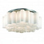 Люстра потолочная ST Luce Onde SL116.502.09