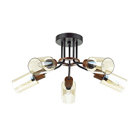 Люстра потолочная LUMION FERN 4492/5C