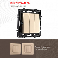 Выключатель трёхклавишный, 10AX 250V 217.30-3.shampan Arte Milano