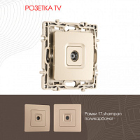 Розетка TV 217.43-1.shampan Arte Milano
