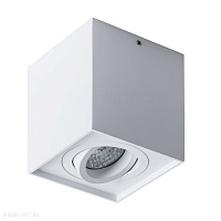 Накладной светильник Arte Lamp GALOPIN A1461PL-1WH