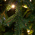 Ель CRYSTAL TREES Персея с вплетенной гирляндой 185 см KP11185L
