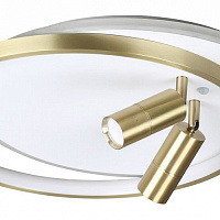 Потолочная светодиодная люстра LUMION NAOKO 5603/63CL