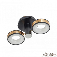 Потолочная светодиодная люстра Arte Milano 271040/2R BK/GD