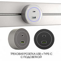 Трековая розетка, 3.1A 250V 399732TS/USB-Type-C Silver Arte Milano