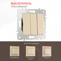 Выключатель трёхклавишный, 10AX 250V 203.30-3.shampan Arte Milano