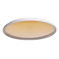 Светодиодный потолочный светильник DeMarkt Норден 660014201