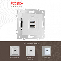 Розетка USB 2.1А+1А 203.46-1.silver Arte Milano