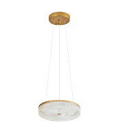 Подвесной светодиодный светильник Arti Lampadari Viro L 1.5.45 G