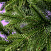 Ель CRYSTAL TREES ПАРИЖСКАЯ НОЧЬ 180 см. KP64180