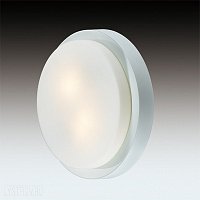 Светильник для ванных комнат ODEON LIGHT HOLGER 2745/2C