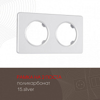 Рамка из поликарбоната на 2 поста 502.15-2.silver Arte Milano
