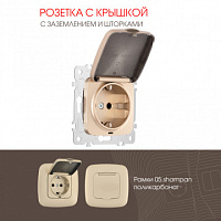 Розетка с заземлением, шторками и защитной крышкой, 16A 250V 205.41-1.shampan Arte Milano