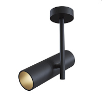 Накладной потолочный светильник Maytoni Elti C020CL-01B