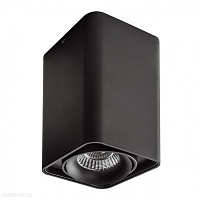 Накладной светильник Lightstar Monocco 212537