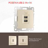 Розетка USB 2.1А+1А 206.46-1.shampan Arte Milano