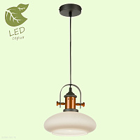 Подвесной светильник Lussole Loft BINGHAMTON GRLSP-9845