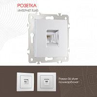 Розетка интернет, RJ45 206.45-1.silver Arte Milano