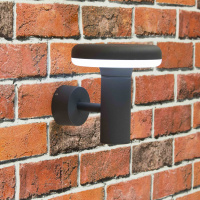 Уличный настенный светильник CITILUX CLU01W