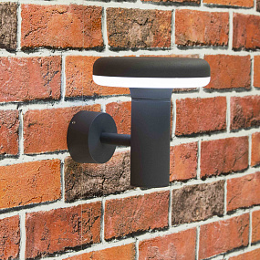 Уличный настенный светильник CITILUX CLU01W