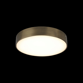 Потолочный светодиодный светильник Aployt Evon APL.0113.29.24