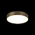 Потолочный светодиодный светильник Aployt Evon APL.0113.29.24