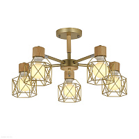 Потолочная люстра EVOLUCE STELITTO SLE110402-05