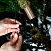 Ель CRYSTAL TREES ЦАРСКАЯ КОРОНА с вплетенной гирляндой 60 см. KP6160L