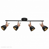 Спот Arte Lamp A1677PL-4BK