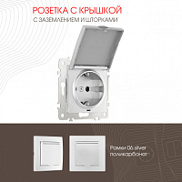 Розетка с заземлением, шторками и защитной крышкой, 16A 250V 206.41-1.silver Arte Milano