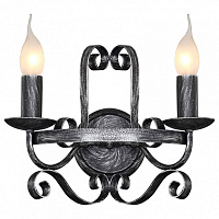 Настенный светильник Favourite Palermo 2162-2W