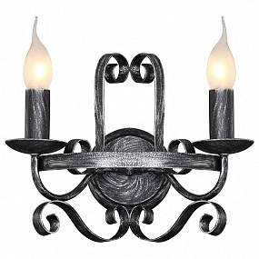 Настенный светильник Favourite Palermo 2162-2W