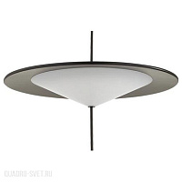 Подвесной светодиодный светильник Odeon Light Steka 5012/16L