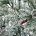 Ель CRYSTAL TREES РОНДА а в снегу 180 см. KP15180