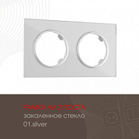 Рамка из закаленного стекла на 2 поста 502.01-2.silver Arte Milano