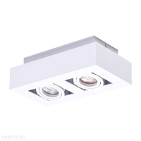 Накладной светильник Azzardo Nikea 2 AZ4434