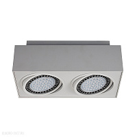 Накладной светильник Zumaline BOXY CL 2 20075-WH