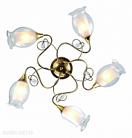 Люстра потолочная Arte Lamp Mughetto A9289PL-5GO