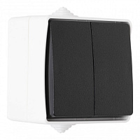 Выключатель двухклавишный проходной (на 2 направления), 10AX 250V 309.32-2.grey Arte Milano