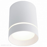 Светодиодный накладной светильник Arte Lamp A1909PL-1WH