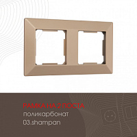 Рамка из поликарбоната на 2 поста 503.03-2.shampan Arte Milano