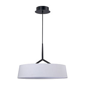 Подвесной светодиодный светильник Divinare ALMA 1029/06 SP-10