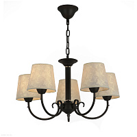 Подвесная люстра EVOLUCE RIMENTO SLE120303-05