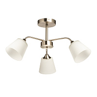 Потолочная люстра De City Блеск 315017703