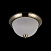 Потолочный светильник Freya Planum FR913-03-R